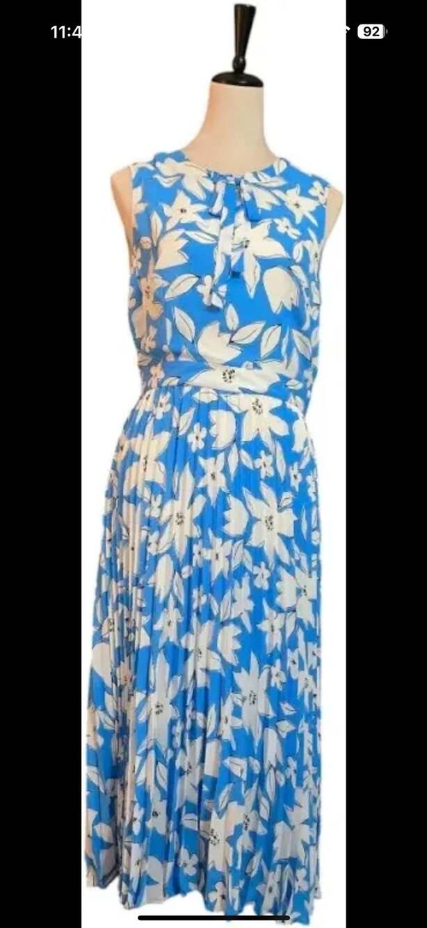 Donna Morgan Blue And White Floral Sleeveless Pleated Midi Dress